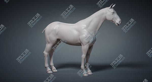 images/goods_img/20210312/Horse Base Mesh 3D model/5.jpg